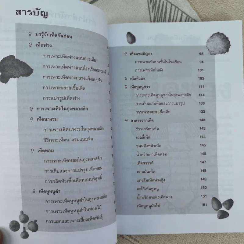 เพาะเห็ดขาย สร้างอาชีพใหม่ เพิ่มรายได้ - อดุลย์ รัตนมั่นเกษม รูปที่ 9