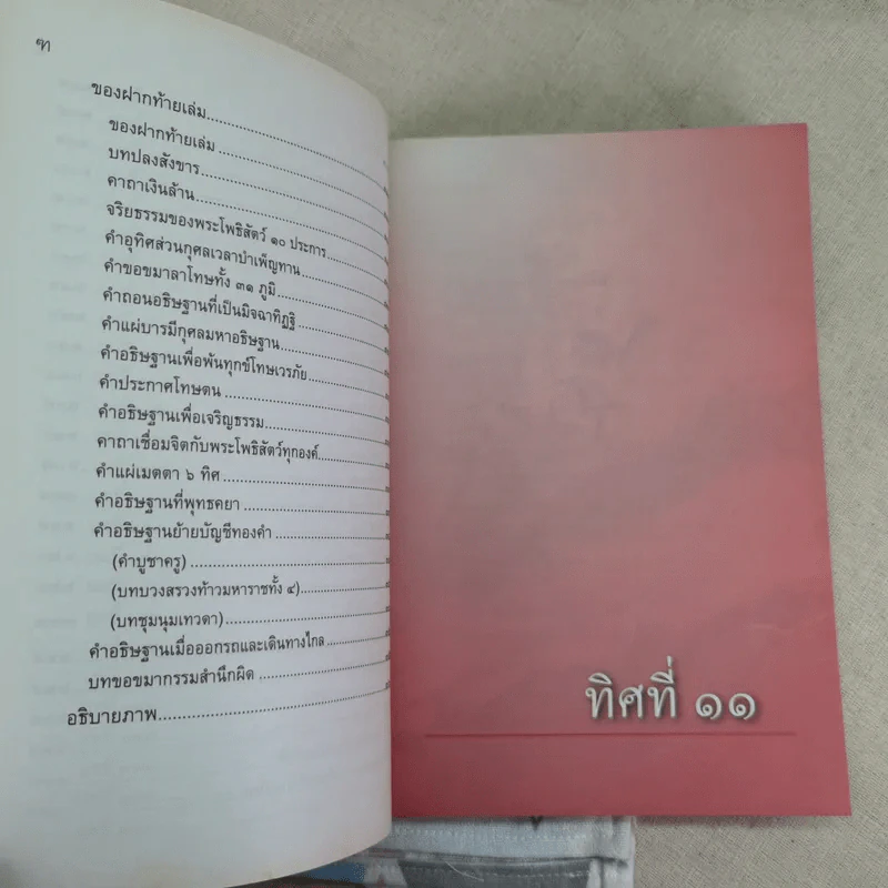 ทิศที่ 11 - หลวงพ่อชุมพล พลปญฺโญ รูปที่ 13