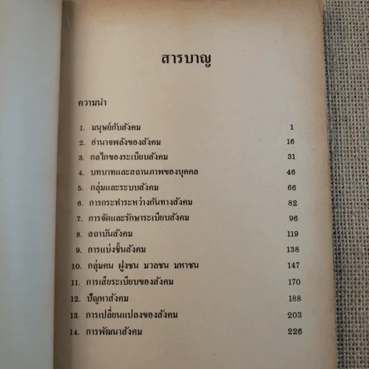 กลไกของสังคม - พัทยา สายหู รูปที่ 10