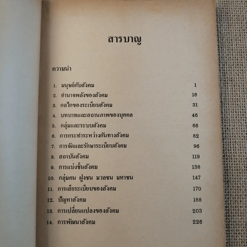 กลไกของสังคม - พัทยา สายหู รูปที่ 10