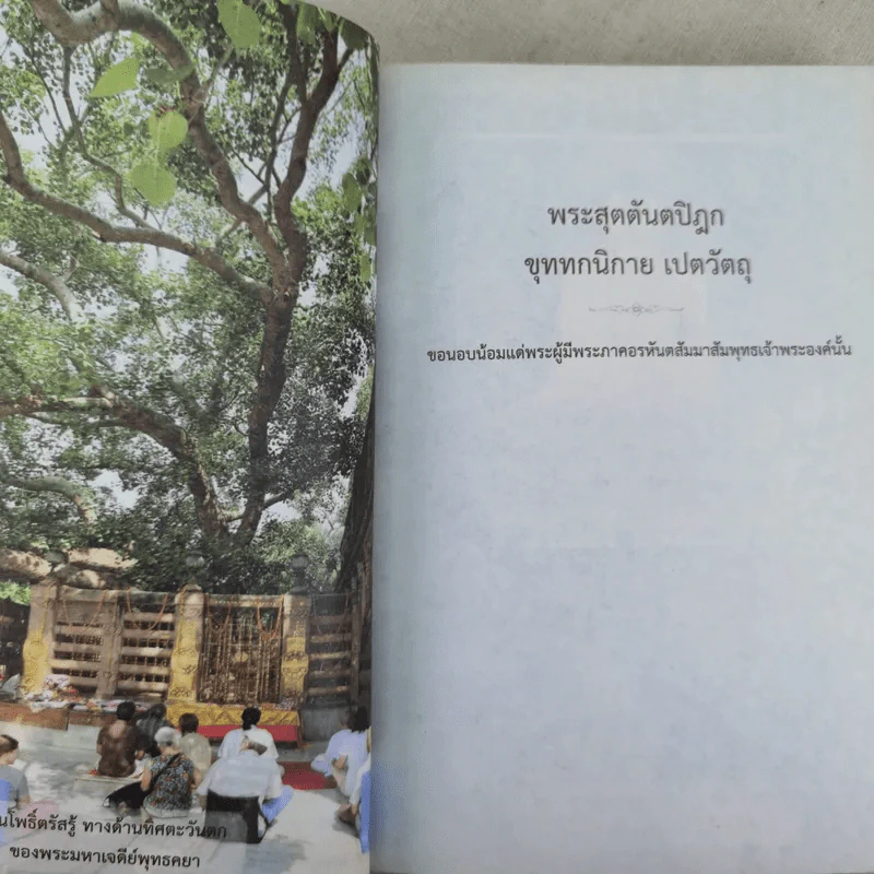เปตวัตถุ - หลวงพ่อชุมพล พลปญฺโญ รูปที่ 15