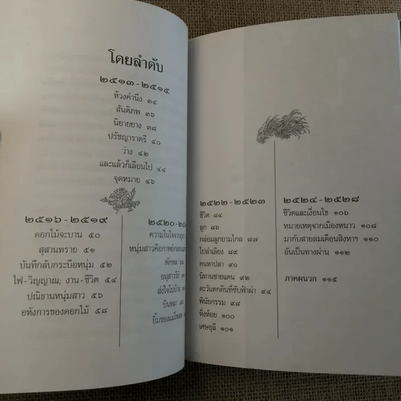 ใบไม้ที่หายไป - จิระนันท์ พิตรปรีชา รูปที่ 11
