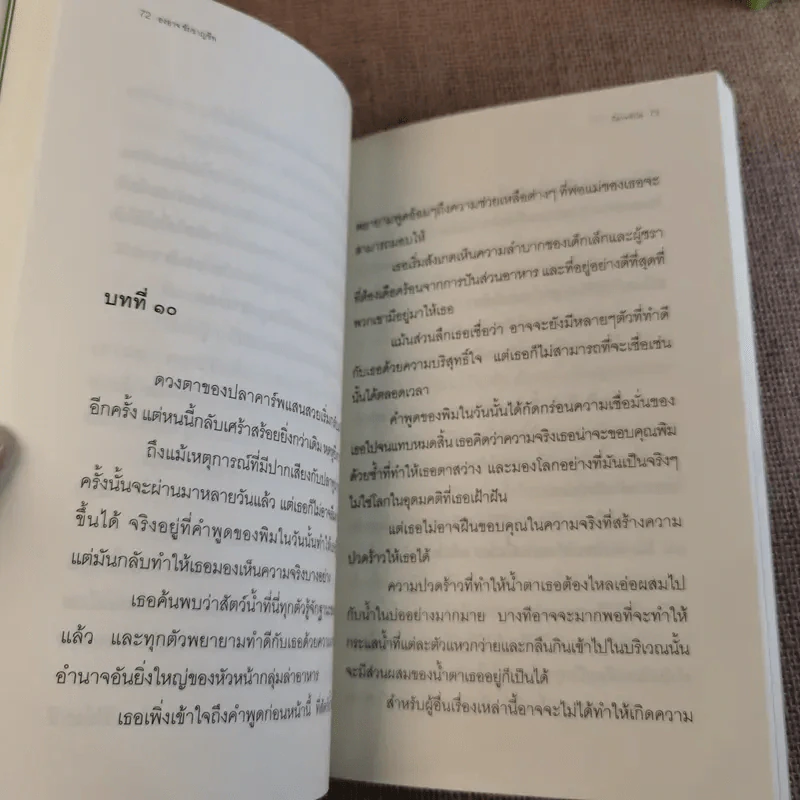 ปีศาจหัวโต - องอาจ ชัยชาญชีพ รูปที่ 12