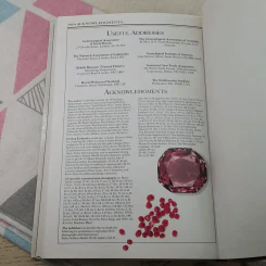 Gem Stones - Cally Hall รูปที่ 10