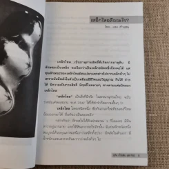 เหล็กไหลมีจริง - แดง เก้าแสน และคณะ รูปที่ 13