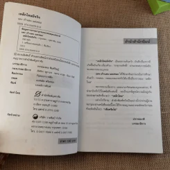 เหล็กไหลมีจริง - แดง เก้าแสน และคณะ รูปที่ 8