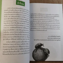 โครงงานวิทยาศาสตร์เชิงสำรวจ แมลงกินได้และแหล่งสารอาหารตามธรรมชาติ รูปที่ 8