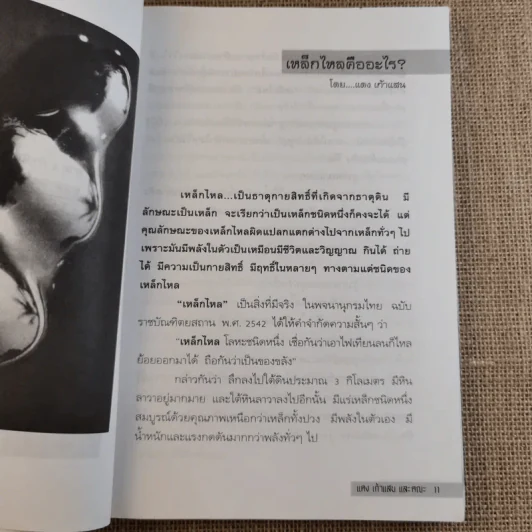 เหล็กไหลมีจริง - แดง เก้าแสน และคณะ รูปที่ 13