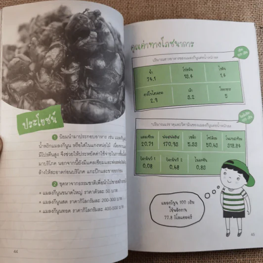โครงงานวิทยาศาสตร์เชิงสำรวจ แมลงกินได้และแหล่งสารอาหารตามธรรมชาติ รูปที่ 12