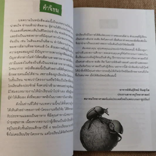 โครงงานวิทยาศาสตร์เชิงสำรวจ แมลงกินได้และแหล่งสารอาหารตามธรรมชาติ รูปที่ 8