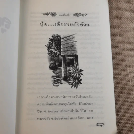 ลูกแม่โขง - เขมชาติ รูปที่ 11