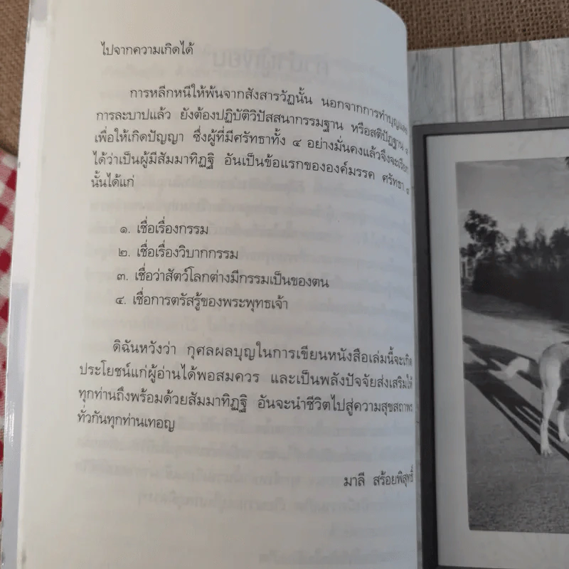 หูตั้ง หมาระลึกชาติ - มาลี สร้อยพิสุทธิ์ รูปที่ 12