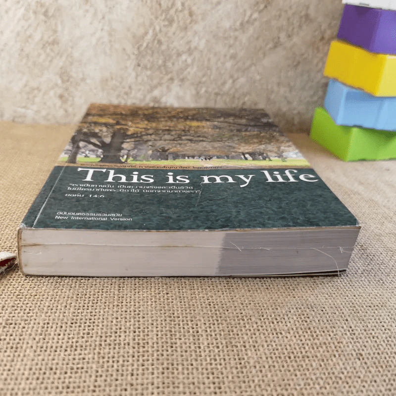 This is my life พระคริสตธรรมคัมภีร์อมตธรรมร่วมสมัย รูปที่ 5
