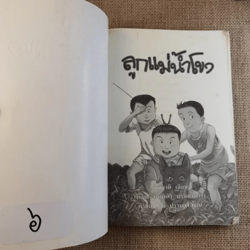 ลูกแม่โขง - เขมชาติ รูปที่ 5