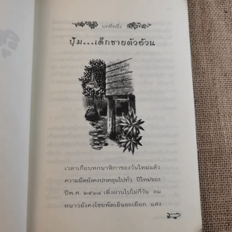 ลูกแม่โขง - เขมชาติ รูปที่ 11