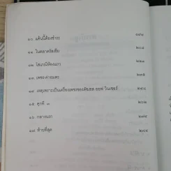 ตามล่าเพชรซาอุ - มนันยา รูปที่ 8