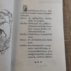 ต้องหยั่งงี้สิยอด รูปที่ 11