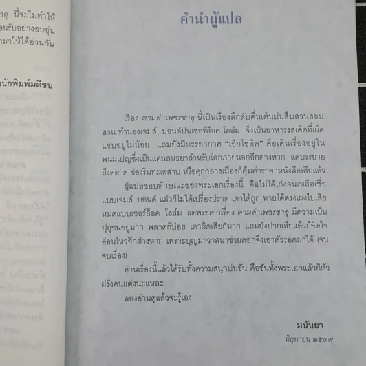ตามล่าเพชรซาอุ - มนันยา รูปที่ 9