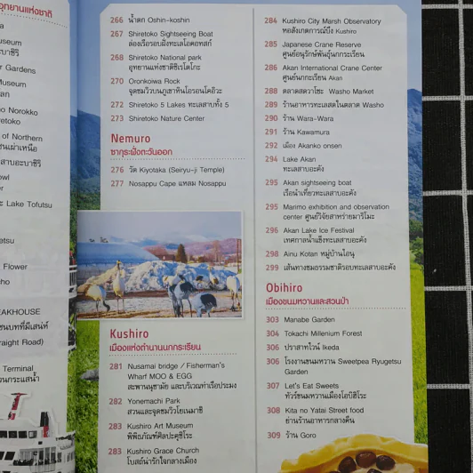 ตะลุยฮอกไกโด Hokkaido รูปที่ 13