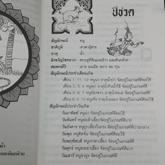 12 ปีนักษัตรและวันเกิดทั้ง 7 วัน รูปที่ 13