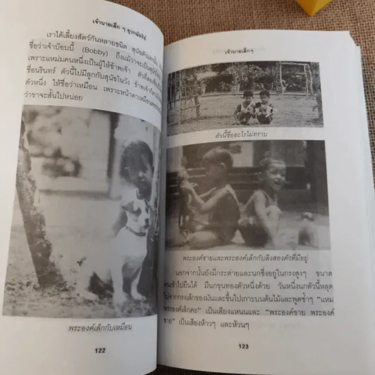 เจ้านายเล็กๆ ยุวกษัตริย์ รูปที่ 17