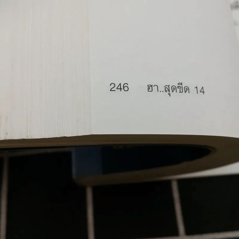 ฮาสุดขีด 14 - สมคิด ลวางกูร รูปที่ 14