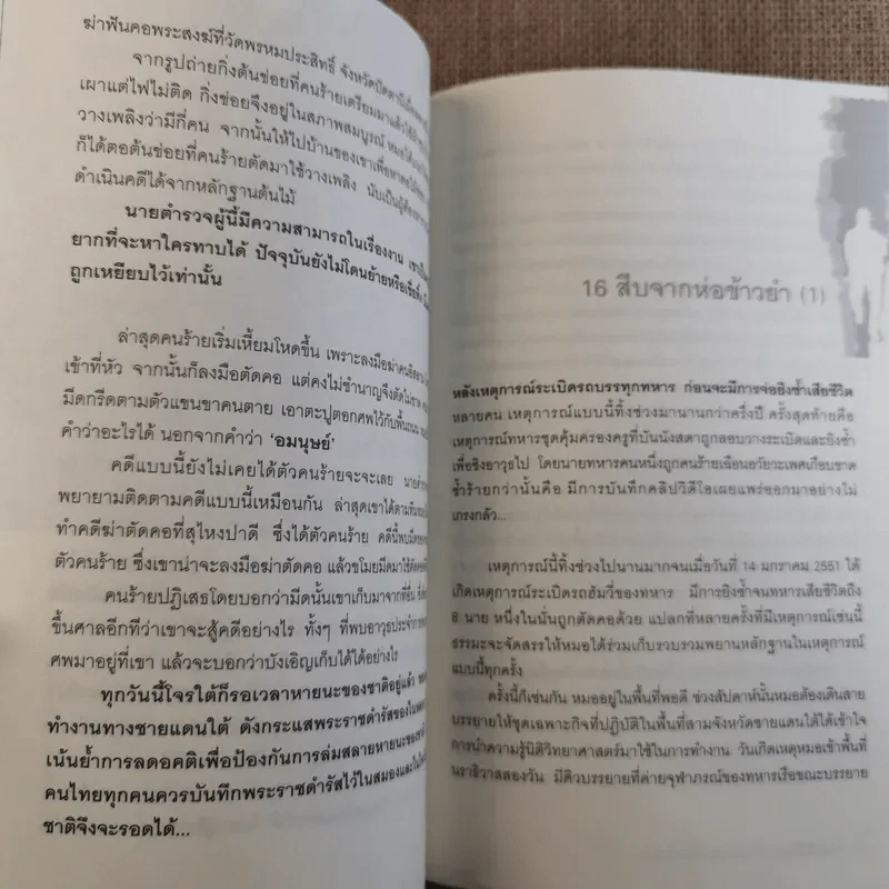 ทักษิณวิปโยค - พ.ญ.คุณหญิง พรทิพย์ โรจนสุนันท์ รูปที่ 13