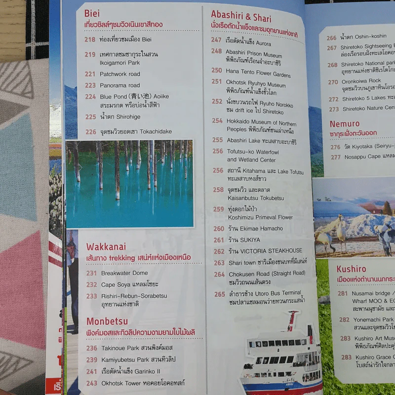 ตะลุยฮอกไกโด Hokkaido รูปที่ 12