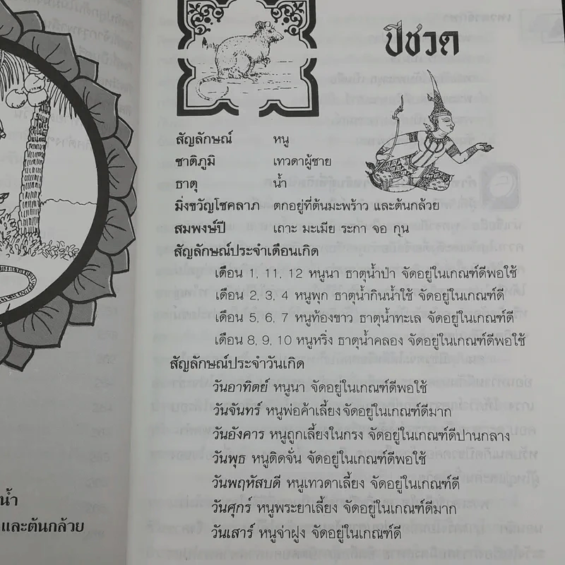 12 ปีนักษัตรและวันเกิดทั้ง 7 วัน รูปที่ 13