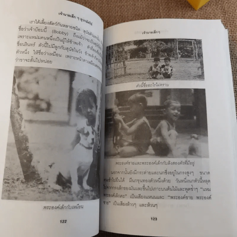 เจ้านายเล็กๆ ยุวกษัตริย์ รูปที่ 17