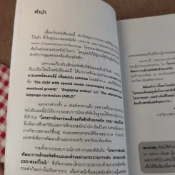 คู่มือการพัฒนาเด็กออทิสติกแบบองค์รวม (เทคนิค DIR/ฟลอร์ใหม่) รูปที่ 11