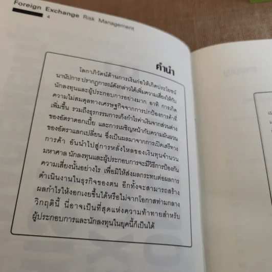 Foreign Exchange Risk Management รูปที่ 8