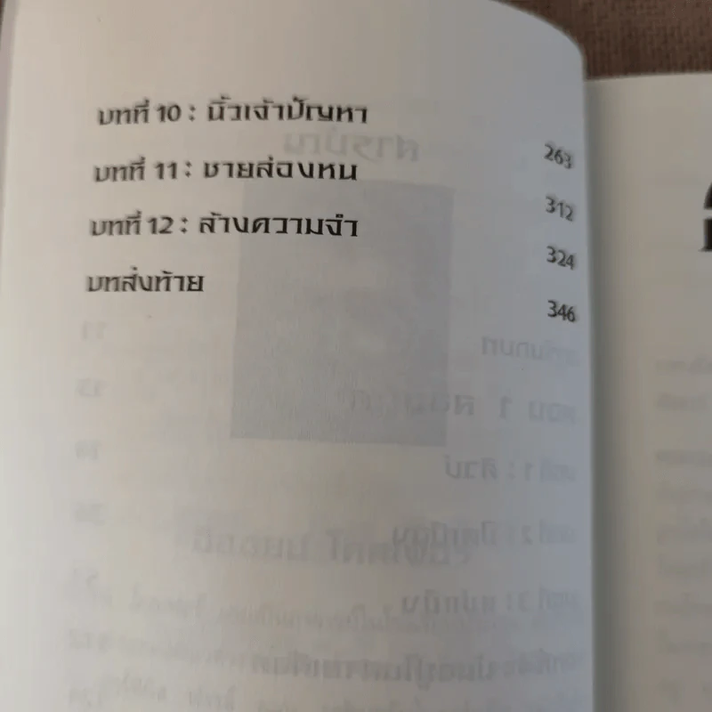 อาร์ทิมิส ฟาวล์ รหัสลับนิรันดร - อีออยน์ โคลเฟอร์ รูปที่ 11