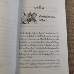 บ้านมุมพูห์ The House at Pooh Corner - เอ.เอ.มิลน์ รูปที่ 13