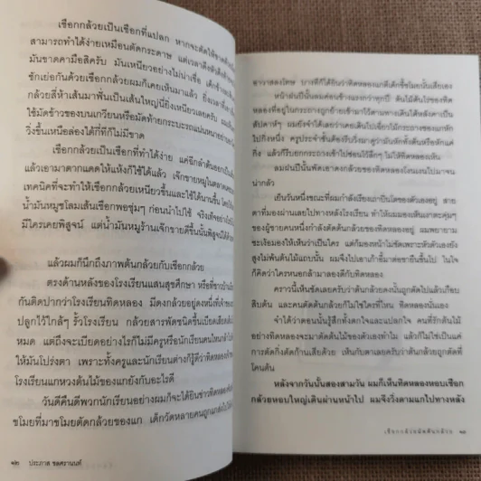 เชือกกล้วยมัดต้นกล้วย - ประภาส ชลศรานนท์ รูปที่ 13