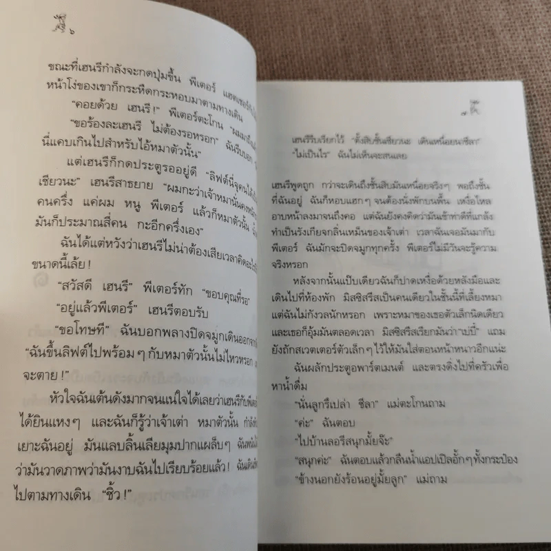 ชีลาร้ายที่สุด - จูดี้ บลูม รูปที่ 10