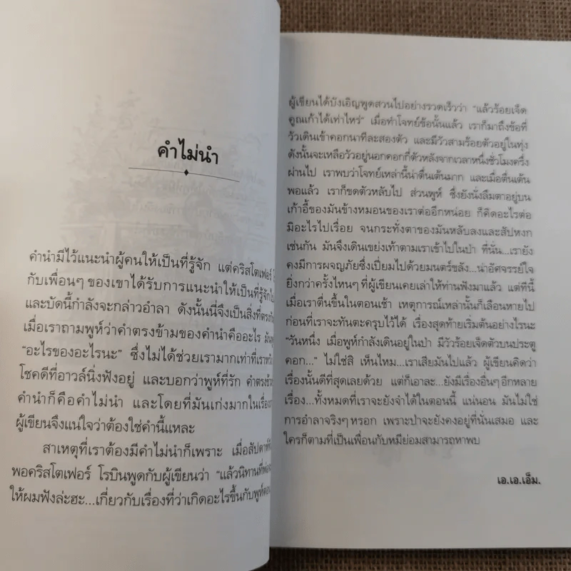 บ้านมุมพูห์ The House at Pooh Corner - เอ.เอ.มิลน์ รูปที่ 11
