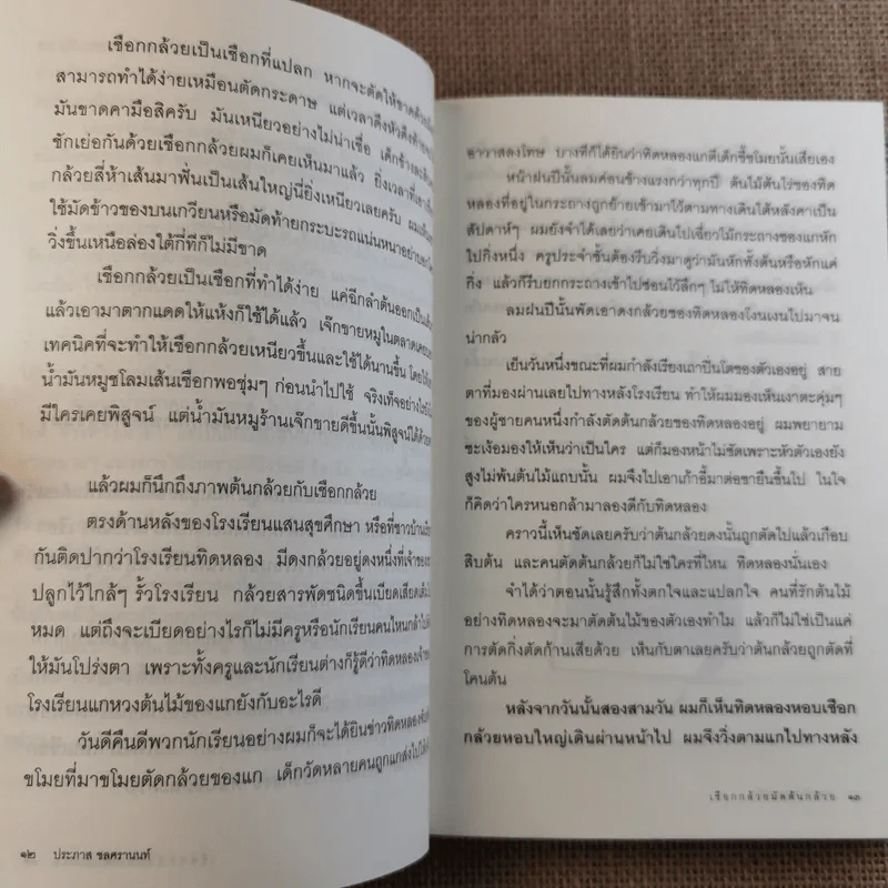 เชือกกล้วยมัดต้นกล้วย - ประภาส ชลศรานนท์ รูปที่ 13