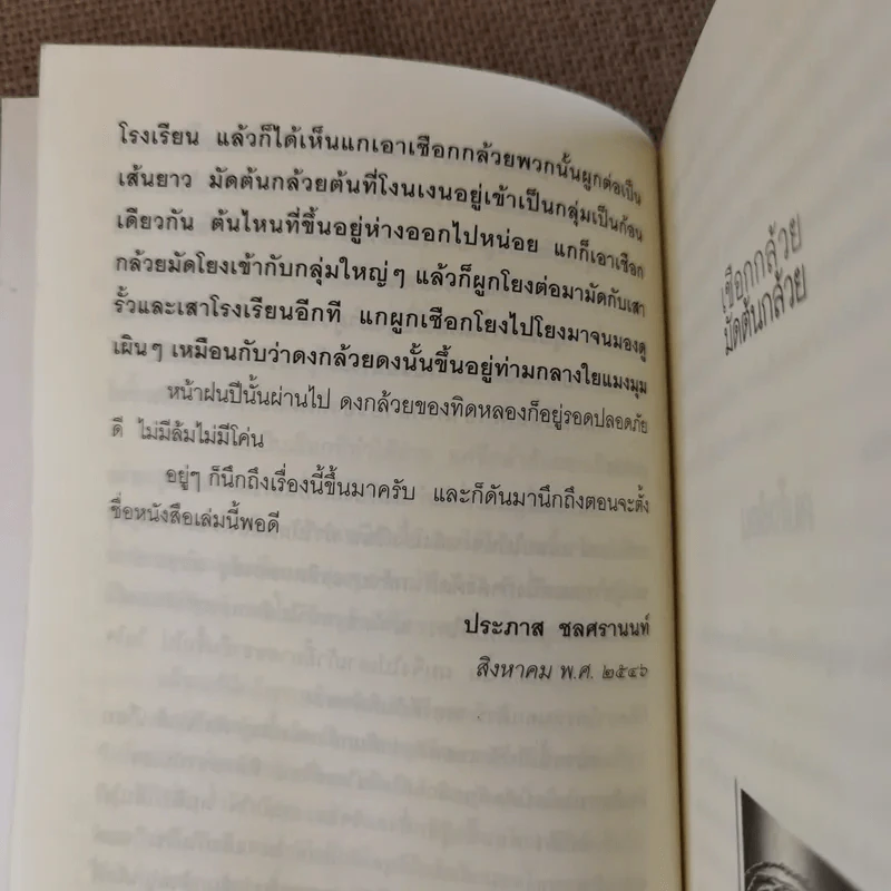 เชือกกล้วยมัดต้นกล้วย - ประภาส ชลศรานนท์ รูปที่ 14