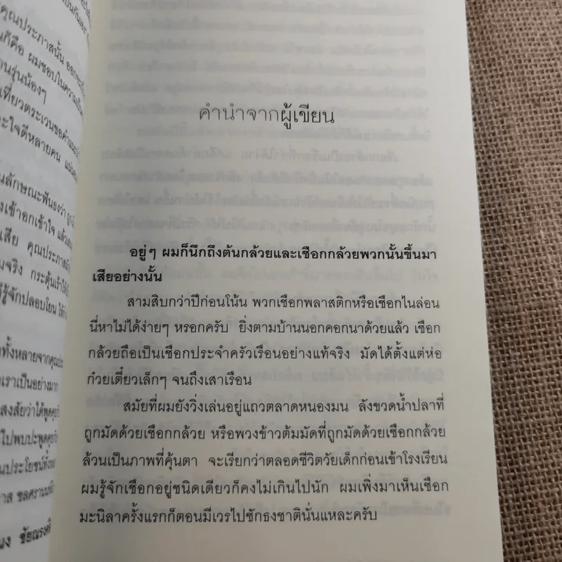 เชือกกล้วยมัดต้นกล้วย - ประภาส ชลศรานนท์ รูปที่ 12