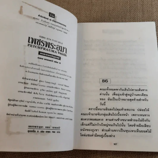 เพชรพระอุมา ตอน นาคเทวี 5 เล่มจบ - พนมเทียน รูปที่ 27