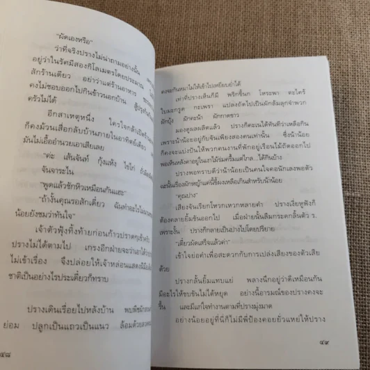 แสงตะวันยามเช้า - นุสมล รูปที่ 11