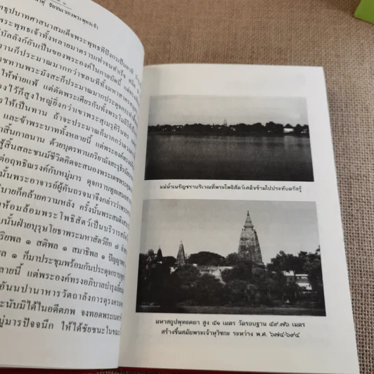 พระฎีกาพาหุง ชัยชนะของพระพุทธเจ้า - พระครูเมตตามงคลวิศิษฏ์ รูปที่ 13