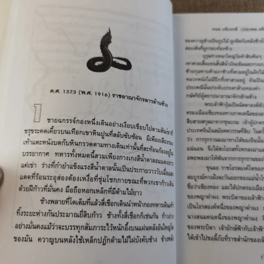 แม่โขง - ปองพล อดิเรกสาร รูปที่ 9