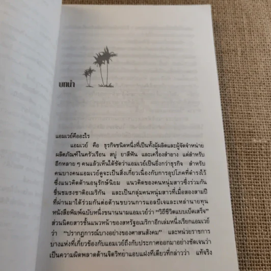 สู่ฝันอันยิ่งใหญ่ -  ชาร์ลส พอล คอนน์ รูปที่ 10