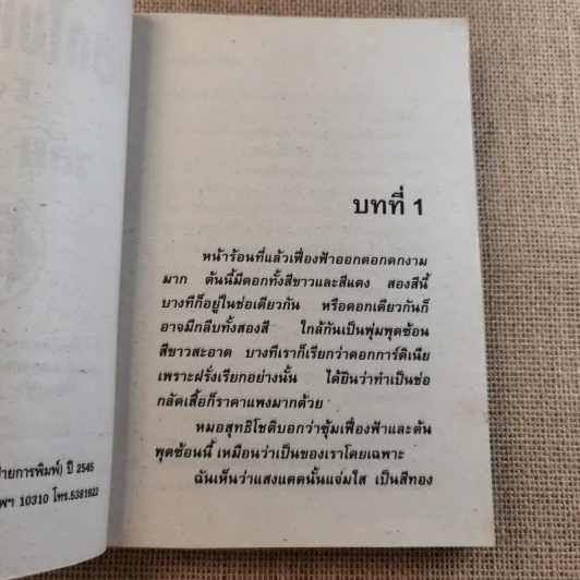 ดอกไม้แทนใจรัก - วลัย นวาระ รูปที่ 8