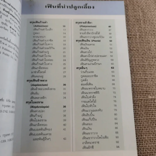 คู่มือคนรักต้นไม้ เฟิน - ปัทมา แซ่ลี้ รูปที่ 8