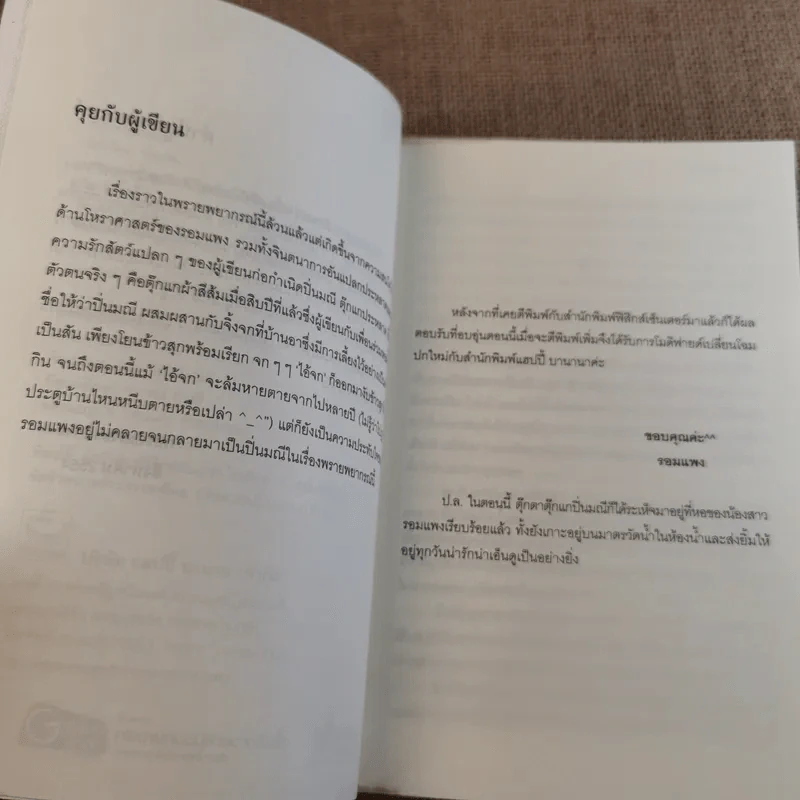 พรายพยากรณ์ - รอมแพง รูปที่ 9