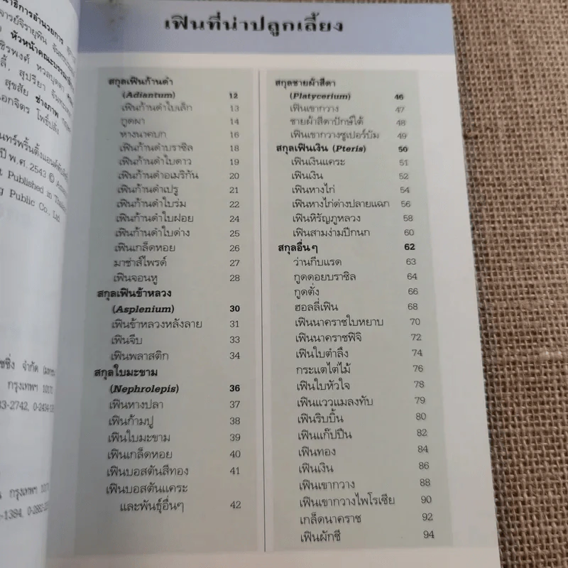 คู่มือคนรักต้นไม้ เฟิน - ปัทมา แซ่ลี้ รูปที่ 8