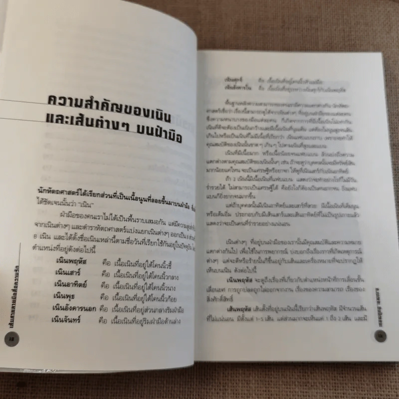 เส้นสายลายมือ สื่อความรัก - อ.เบญจะ ชินปัญชนะ รูปที่ 14